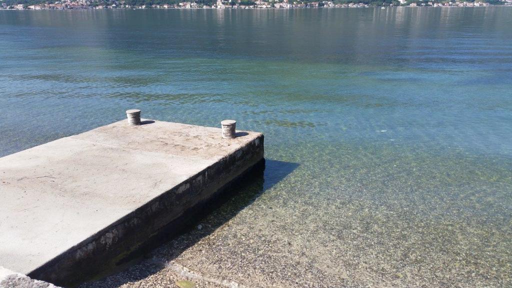 Villa Branka Kotor Eksteriør bilde
